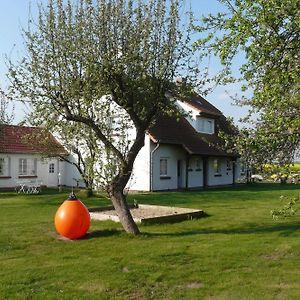 Hotel Pension Schwalbenhof à Klausdorf  Exterior photo