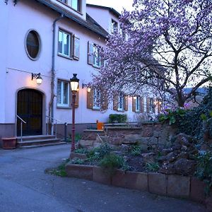 Logis Hôtel du Centre - Halte idéale en cyclotourisme avec garage à vélos clos Molsheim Exterior photo