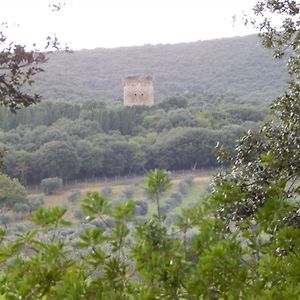 Hotel Tenuta Uccellina à Magliano in Toscana Exterior photo