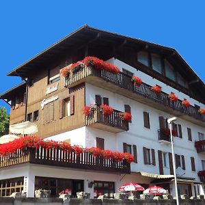 Hotel Giardino Pieve di Cadore Exterior photo