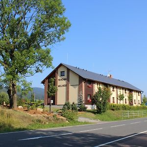 Hotel Penzion Jecminek à Červená Voda Exterior photo