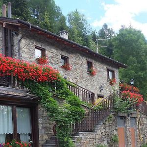 Villa Agriturismo Al Castagneto à Mazzo di Valtellina Exterior photo