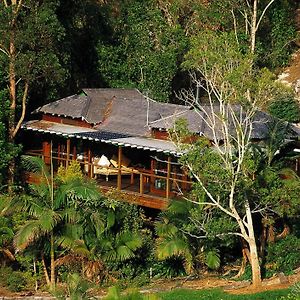 Villa Wollumbin Palms Rainforest Retreat à Uki Exterior photo