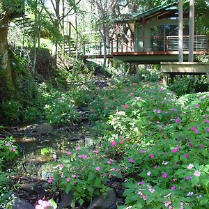 Treetops Montville Exterior photo