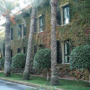 Hotel Jardin Milenio à Elche Exterior photo