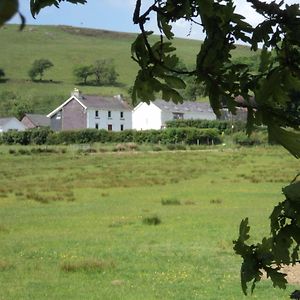 Merlin Cottages Llandovery Exterior photo