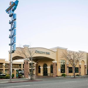 Quality Inn Near Chico State Exterior photo