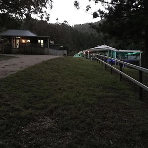Bed and Breakfast Ingleside Stud Farm à Tallebudgera Exterior photo