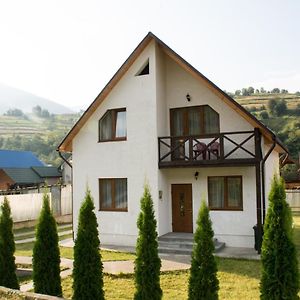 Villa Sunhouse à Mizhhirya  Exterior photo