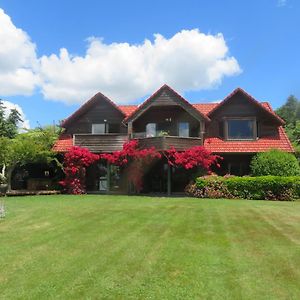 Three Gables B&B Whakamarama Exterior photo