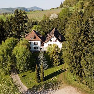 Hotel Gaestehaus Kaltenbach à Staufen-en-Brisgau Exterior photo