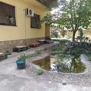 Hotel Smestaj U Okviru Domacinstva Sobe Sosa à Palić Exterior photo