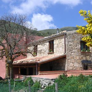 Villa Agriturismo Gelso à Castellana Sicula Exterior photo