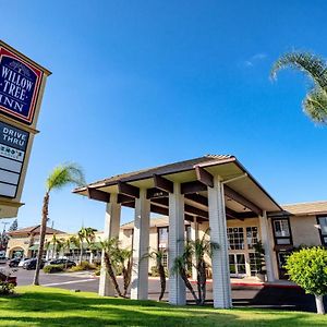 Willow Tree Inn Los Angeles- Near Stub Hub Center Compton Exterior photo