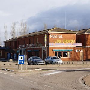 Hotel Hostal Los Chopos à Osorno Exterior photo