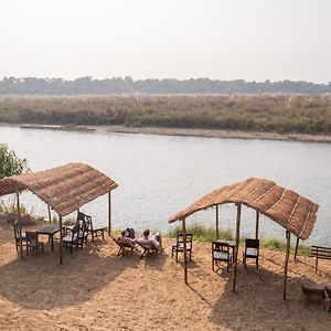 Hôtel Jungle Wildlife Camp à Sauraha Exterior photo
