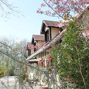 Chambres d'hôtes La Brillève Lamotte-Beuvron Exterior photo