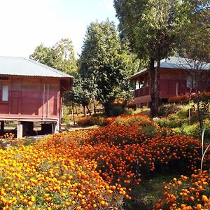 Kalsee Ecolodge Kāskī Exterior photo