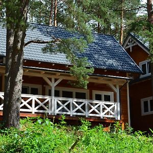 Hotel Domki Kaszuby - Jezioro Las I Zoo W Szarlocie à Kościerzyna Exterior photo