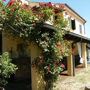 Bed and Breakfast Casolare Casa Ricci à Riotorto Exterior photo