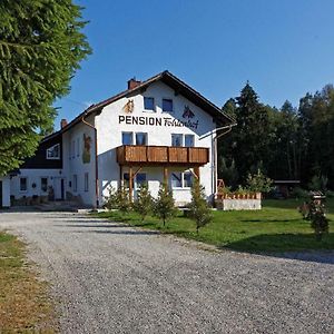 Hotel Pension Fohlenhof à Frauenau Exterior photo