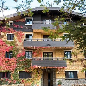 Hotel La Maison des Cèdres à Arz Exterior photo