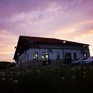 Hotel Pension Cetate Valcău de Sus Exterior photo