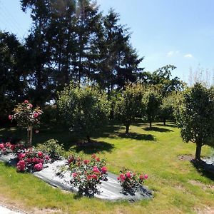 Bed and Breakfast Les Stiers à Chance Exterior photo