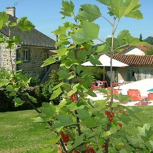 Bed and Breakfast LA MAISON près d'Aurillac à Giou-de-Mamou Exterior photo