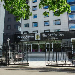 Hotel White Tree à St Pétersbourg Exterior photo