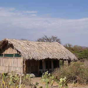 Hotel Tindiga Tented Camp à Mangola Exterior photo