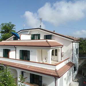 Hotel Colibri à Maierà Exterior photo