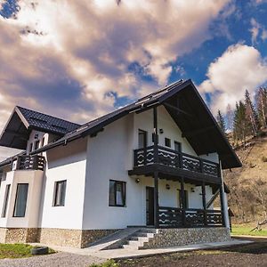 Villa Verde De Bucovina à Fundu Moldovei Exterior photo