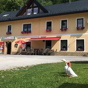 Hotel Gasthof Woelger à Admont Exterior photo