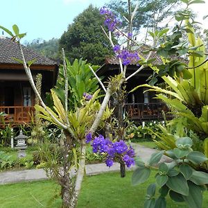 Kubu Alas Tunggal Villa Sidemen  Exterior photo