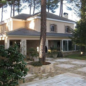 Villa El Chalet Del Pinar à Cuenca  Exterior photo