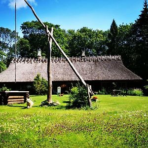 Hotel Kotka Farm à Saarekula Exterior photo