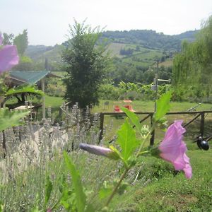 Villa Le Spighe Agriturismo à Cesena Exterior photo