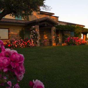 Bed and Breakfast Il Giardino Delle Rose à Santa Maria Nuova  Exterior photo