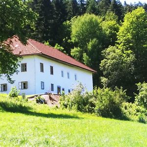 Appartement Ferienhaus Herrnbauer à Zaglau Exterior photo