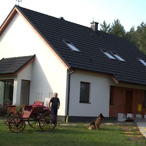 Villa Koci Grzbiet Agroturystyka à Dzierzazno Wielkie Exterior photo
