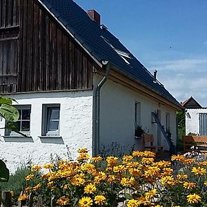 Hotel Zum Storchennest à Kemnitz  Exterior photo