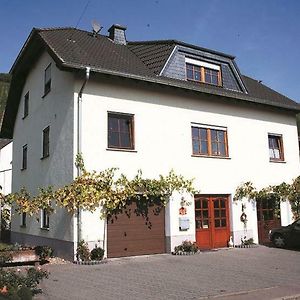 Hôtel Weingut Berweiler à Klusserath Exterior photo
