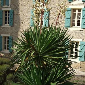 Hotel Domaine Saint Andrieu à Greffeil Exterior photo