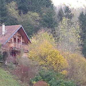 Villa Gite rural les Combes à Thorens-Glières Exterior photo