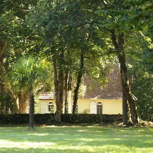 La Chapelle du Chateau Gîte Pouillon Exterior photo