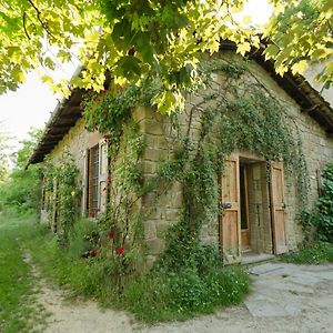 Villa Circolo Dell'Orso à Grizzana Exterior photo