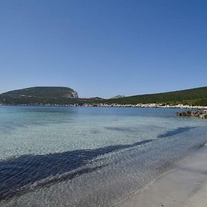 Villa Margherita Alghero Exterior photo