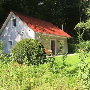 Villa "Das Waldhaus" à Bad Lauterberg Exterior photo