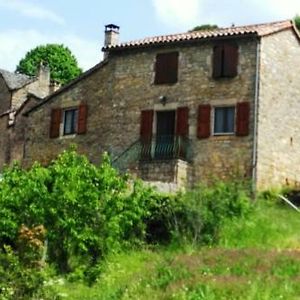 Villa Gite Du Tourdre à La Cresse Exterior photo